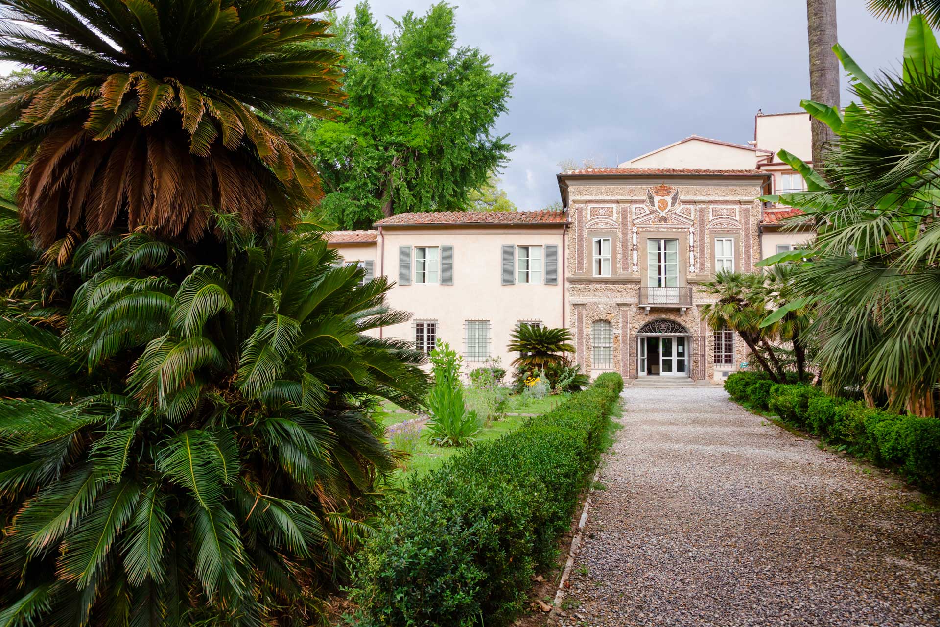 Visiting Orto Botanico di Pisa A Guide to Pisa's Botanical Garden