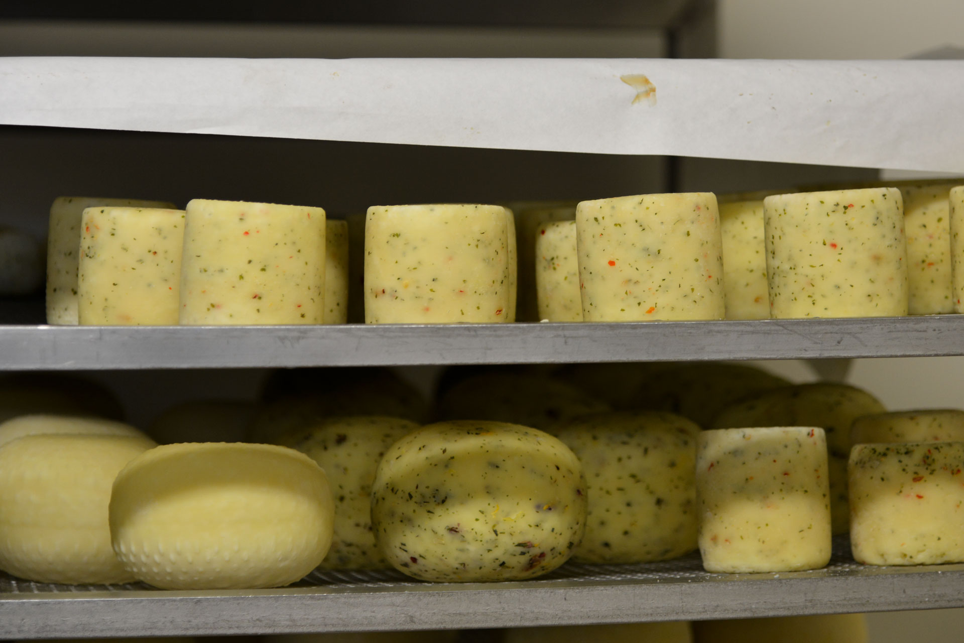 Cheese Guide for Tuscany Tuscany Now & More