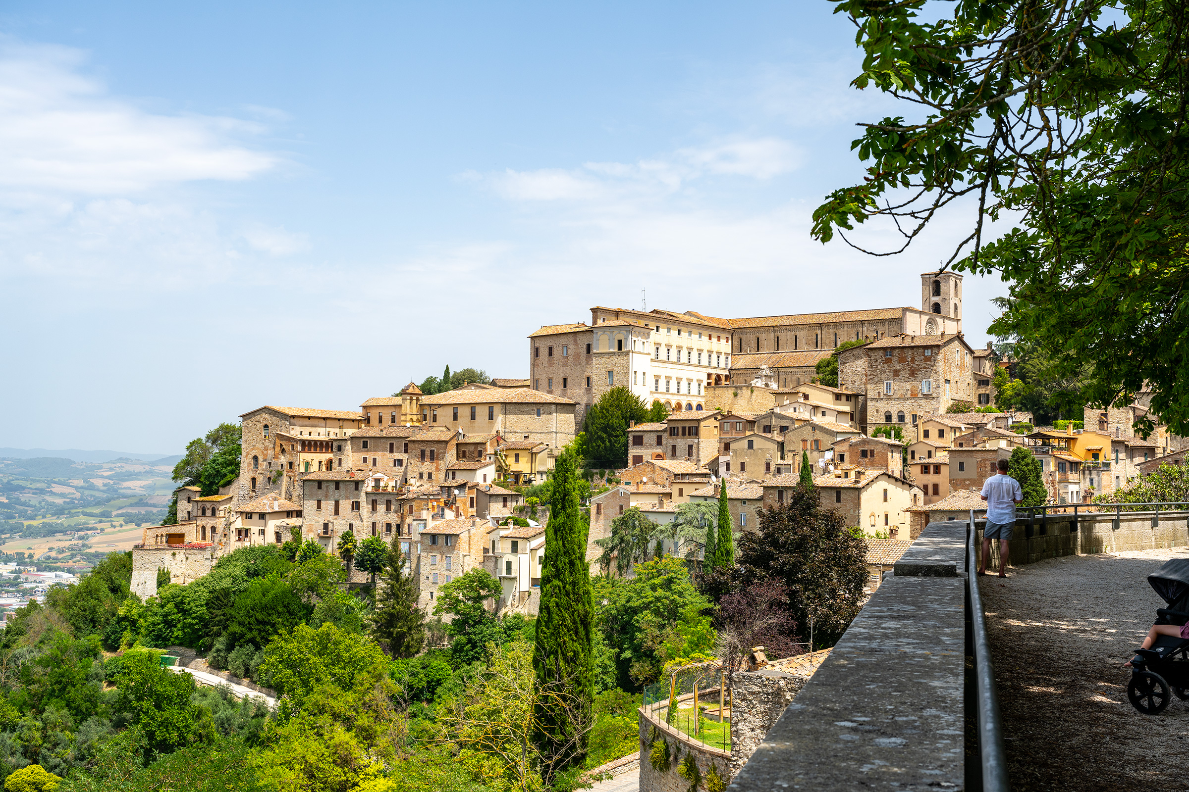 Panoramic view of historic Viterbo, with medieval stone buildings and churches overlooking the green countryside of Tuscia, Italy.