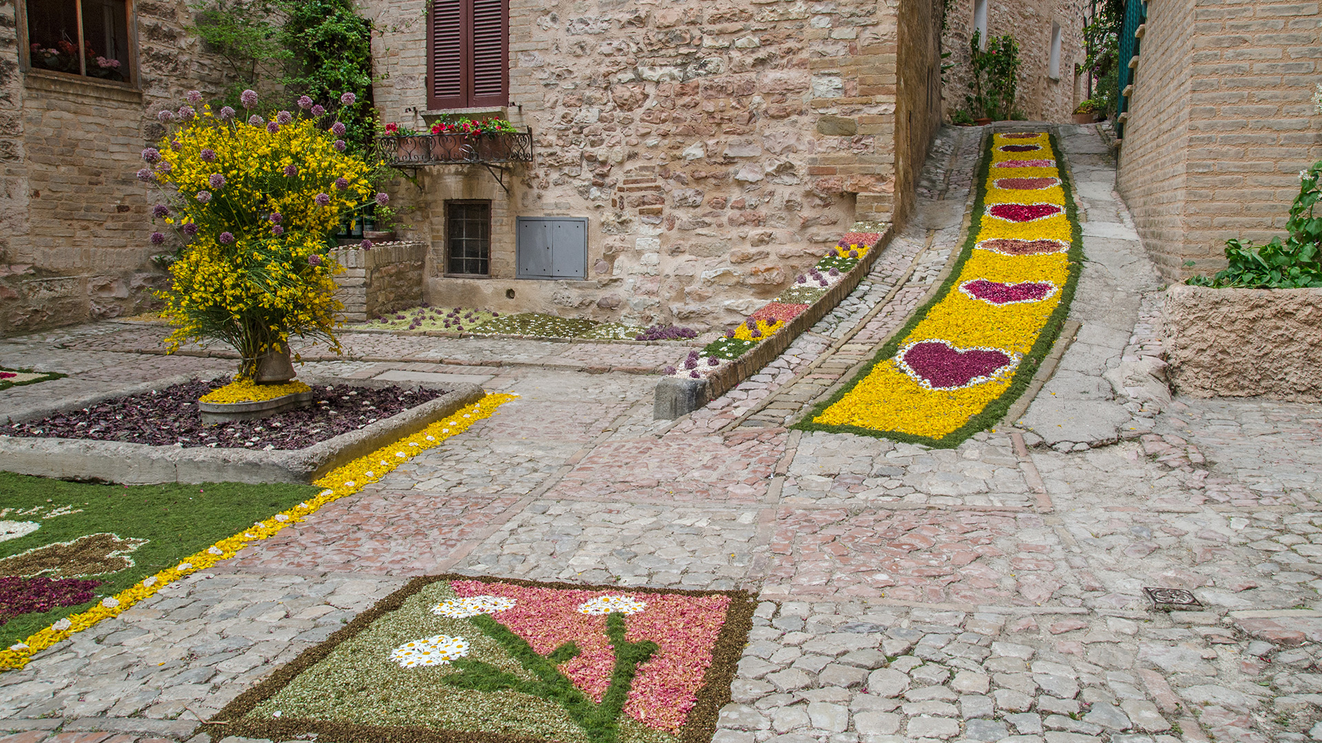 Infiorata flower carpets decorating a cobblestone street in Spello, Umbria, during the traditional spring flower festival