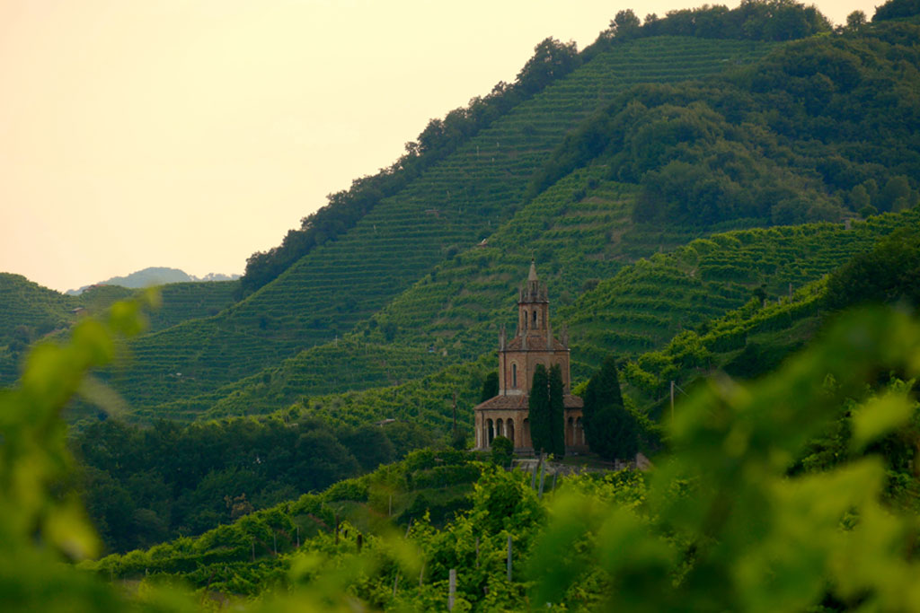 View of the green Prosecco wine hill - Saint Martin Temple - Tempio di S. Martino - Conegliano Valdobbiadene - Strada del Prosecco