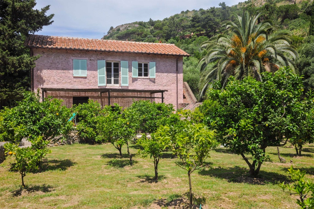 L'Agrumeto dell'Isola