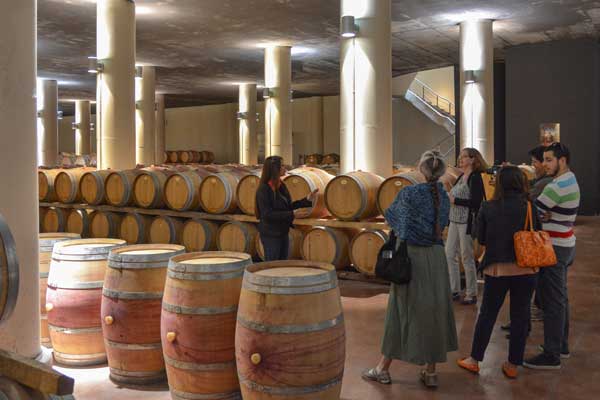 wine barrels