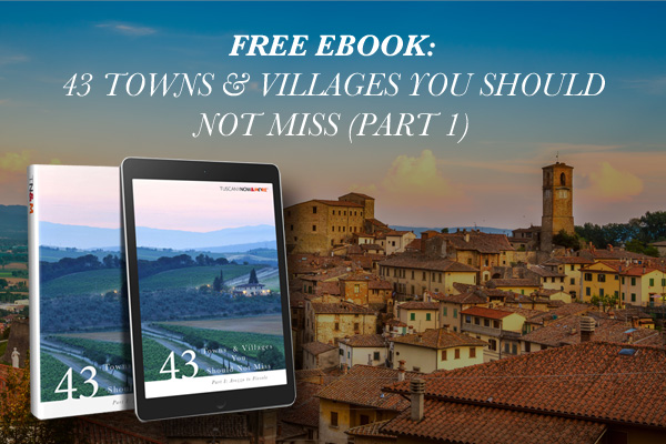 43 towns and villages you should not miss ebook