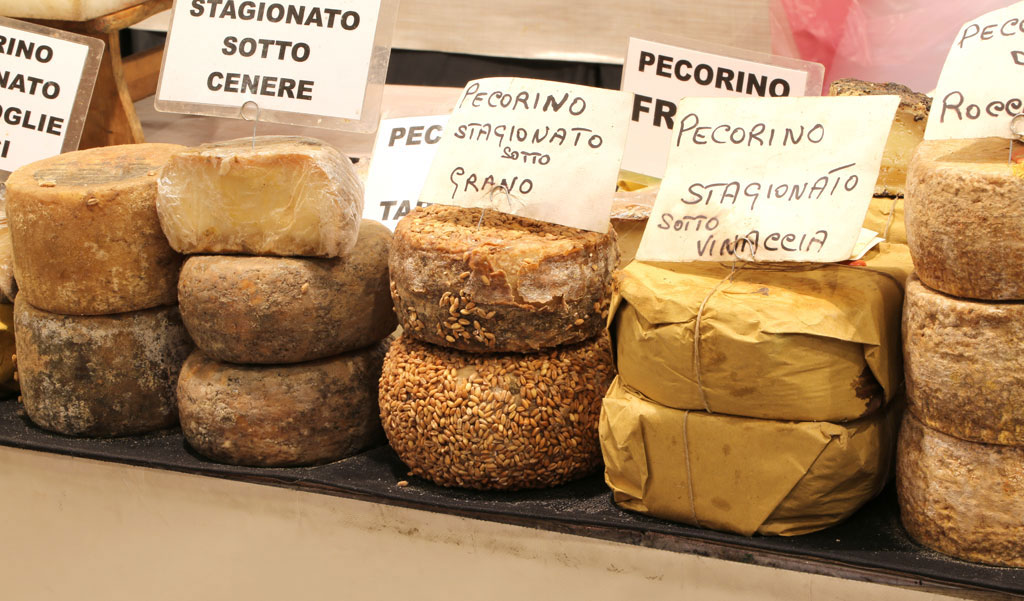 Pecorino cheese