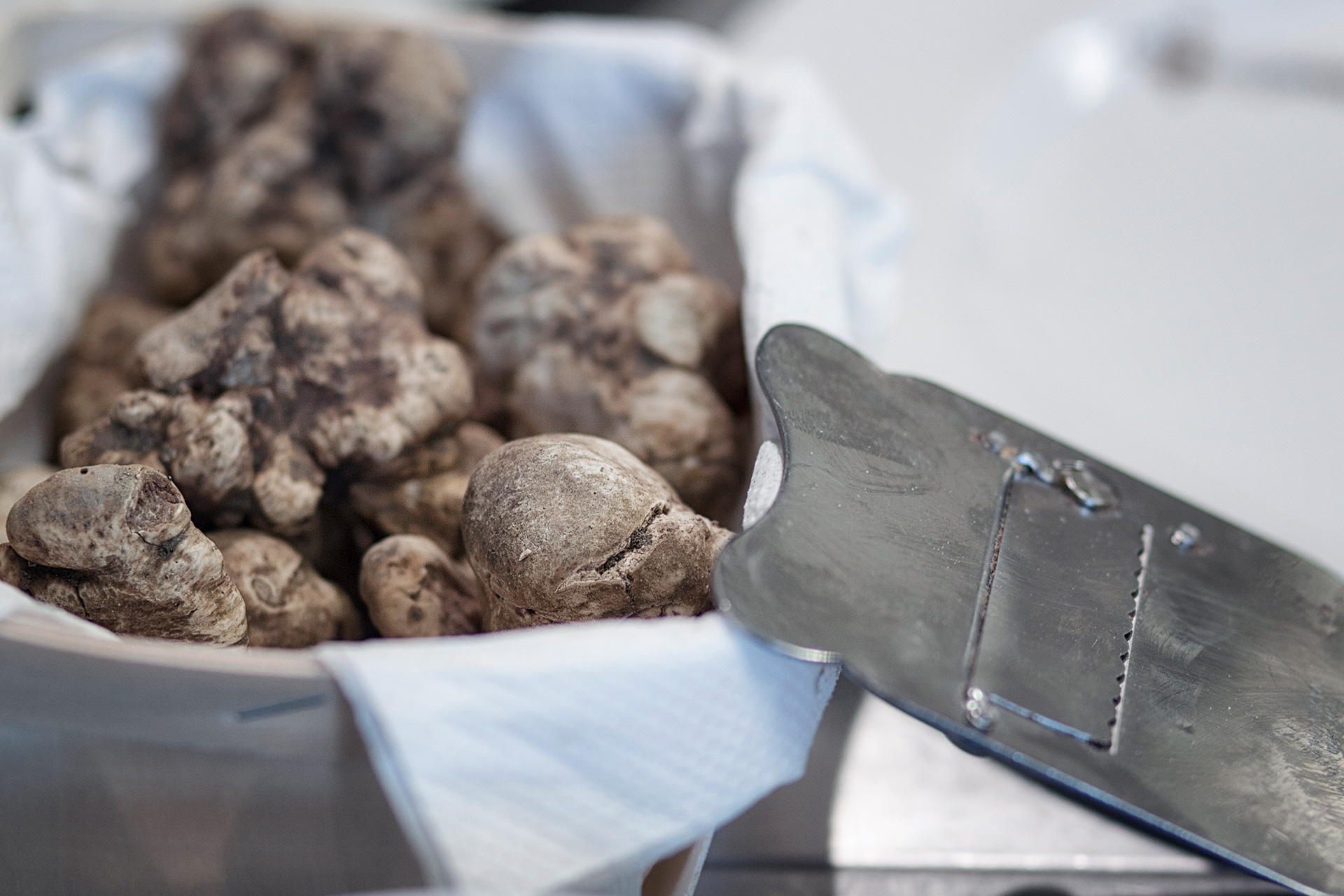 White truffles