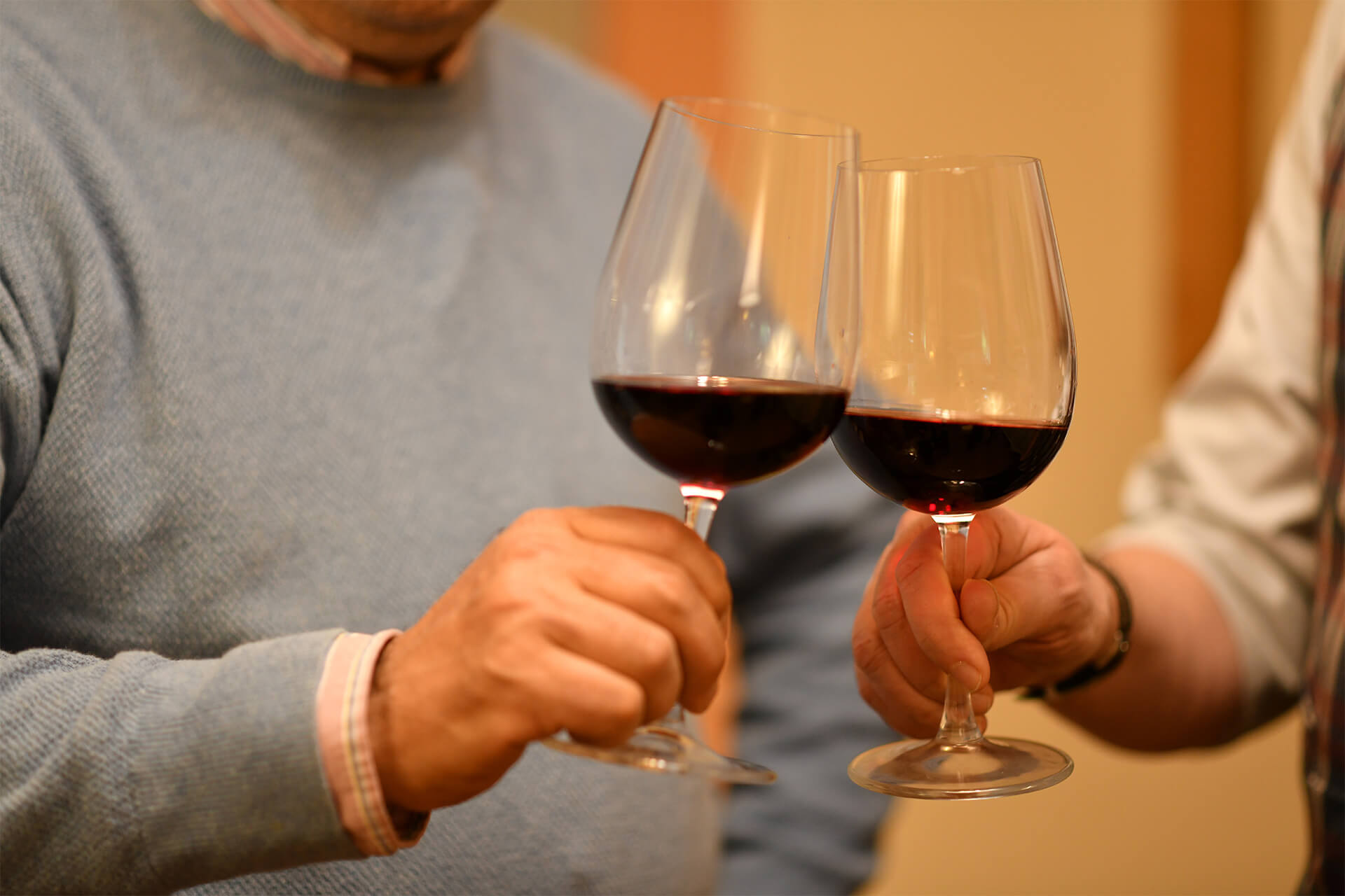 Guests toasting glasses of Tuscan red wine during a wine tasting experience
