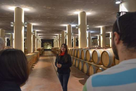 Chianti Wine Tour - A tour guide talks to her group about the barrels of wine in the wine cellar.