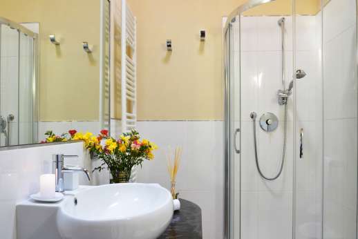 I Giullari - One of the en suite bathrooms with shower in the east wing first floor.