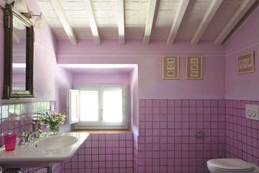 Il Borgo di Petroio - The en suite bathroom with shower.