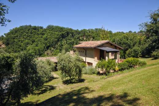 L’Olmo (x 4 people) with Staff and Cook - Gardens around the villa
