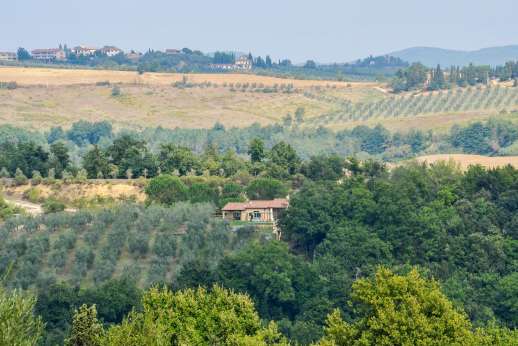 La Magione - La Magione surrounded by olive groves.