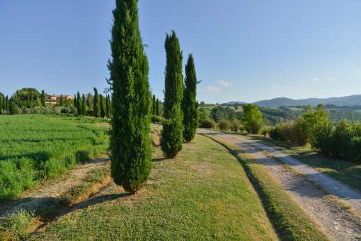 Poggio Alto, Gorgeous setting, 360-degree views. Large rooms, top-notch kitchen, huge pool.