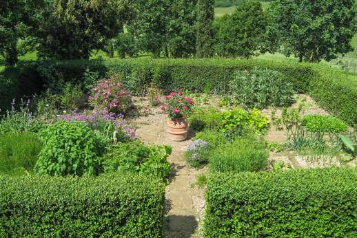 Poggio Alto - The vegetable garden part of the beautiful grounds.