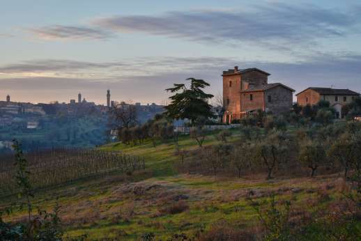 Santa Dieci - The owners who look after the estate and its vineyards producing a superb red wine.