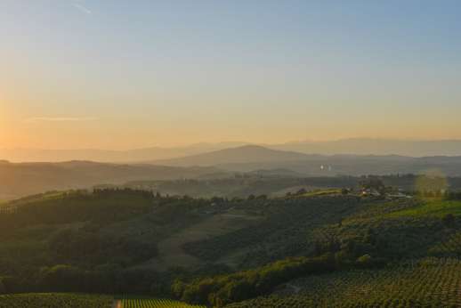 Tenuta Almabrada - Dream landscapes of rolling vineyards at the villa