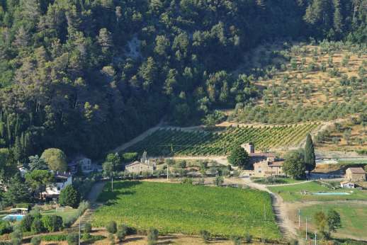 The Estate of Petroio with Staff and Cook - Luxury estate with  2 beautiful residences & breathtaking views of  vineyards and olive groves near Florence. Two private pools, tennis court and sfaff.