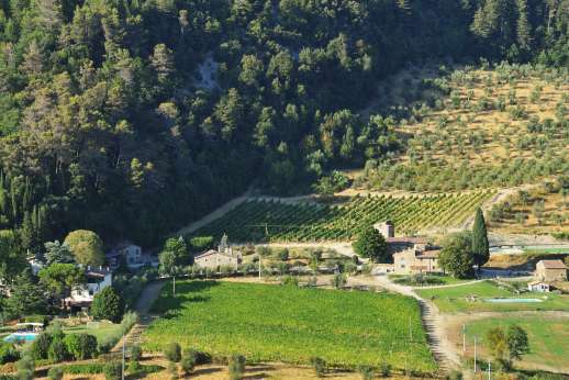 Staffed weddings at The Estate of Petroio - The Villa of Petroio is the white building left, and Il Borgo is to the right of the image below the vineyard.
