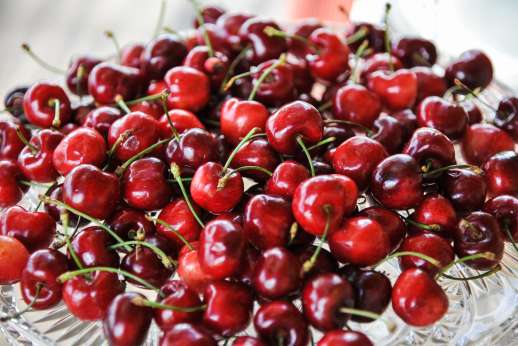 Villa al Monte - Cherries fresh from the tree.