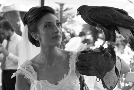 Weddings at Villa Atena - A grand and ornate day