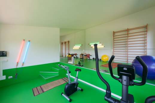 Villa Caprolo - Amazing two level gym