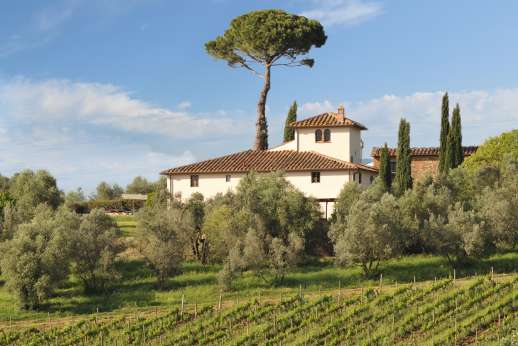 Gugliaie - Gugliaie, near Florence, Tuscany.