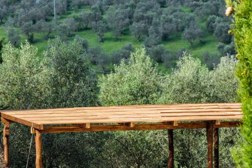 Gugliaie - Outside seating with olive grove views