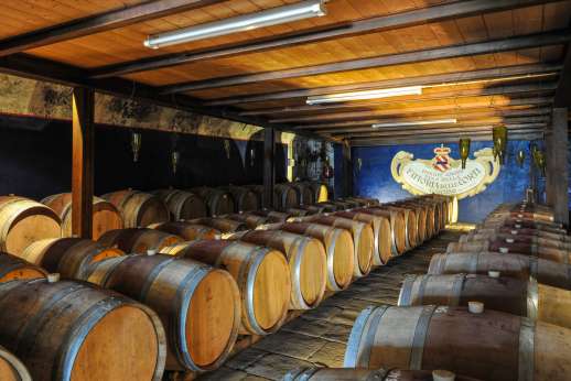 Gugliaie - The local winery by the villa