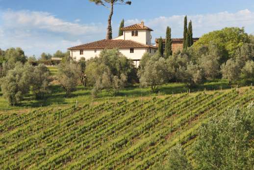Gugliaie - Gugliaie is a beautiful, restored farmhouse set at the end of a short drive on a hill top amongst an olive grove of the “Villa Le Corti estate”, 246 hectares, overlooking Vigneto di Gugliaie one of the estates most famous vineyard.