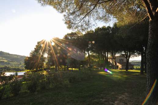 Villa Ostignano - A pretty garden with extensive lawns all around the villa with great view on olives groves and vineyards.