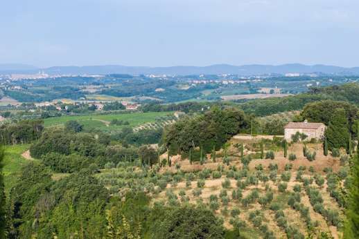 Poggio di Artemis - The villa set amongst the estate enjoys amazing views