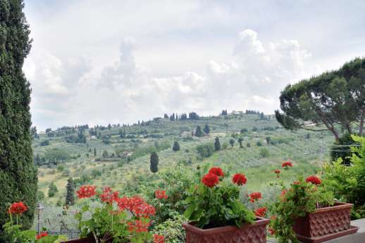 Villa San Martin - Olive groves surround the villa