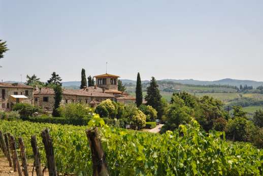 Montesassi - Set within a 20 acre wine producing estate in the heart of Chianti producing Chianti Classico and olive oil, view of the Osteria walking distance from the house.