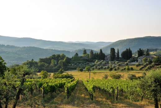 Montesassi - Views stretch over the rolling Tuscan countryside dotted with hill top villages and towns.