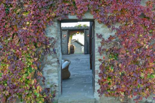 A Cooking Week at Il Cortile Pratolino