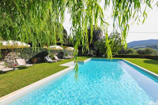 Villa Di Masseto - Large pool on the lower terrace surrounded by lawn and beautiful views
