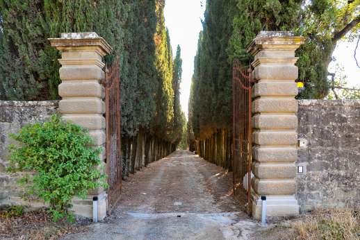 Villa Caprolo - The wrought iron gates lead down the cypress lined driveway to the main house