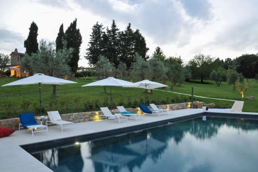 Poggetto Rosato- Olive trees in the large garden in the evening