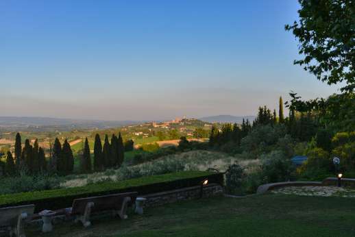 Diaspero - A very nicely kept garden within a 4ha/10 acre property of vines, orchards and olive groves