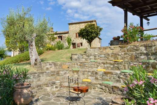 Bellona Di Sotto | 5 Bed Luxury Villa with Pool | Cortona - Old Olive tree in the well maintained gardens surrounding the villa