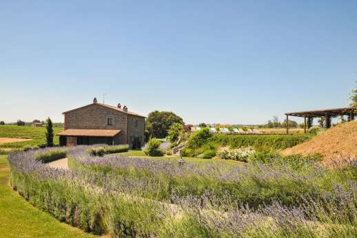 Segreto Gelsomino - Lavender hared path leading down to the house