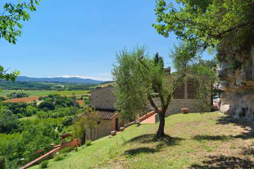 Sul Coccomorlo - The garden is filled with flowered bushes, herbs and aromatic plants