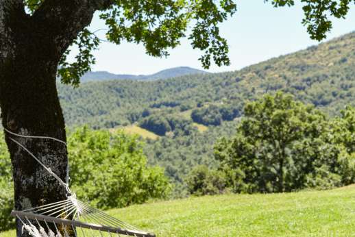 Tra Sanvento - This is our favourite spot to sit back and take in the calming scent of lavender, sipping on an aperitif