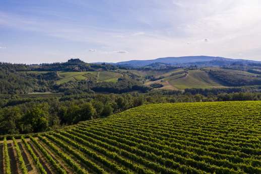 San Leolino (x 10 people) with Staff and Cook - San Leolino, near San Gimignano, Tuscany.
