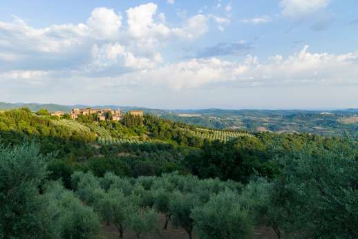Villa al Monte - Villa al Monte is located just two kilometres from Volpaia, one of the prettiest hamlets in the Chianti.