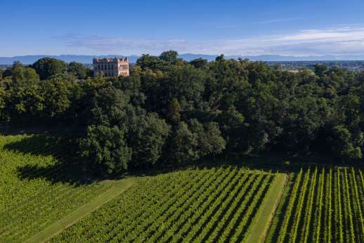 Ca' di Lista - La Montecchia Conte Emo Capodilista, deemed of the best wines in the world for quality and price