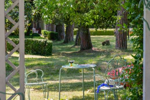 Torre della Duchessa - Sit and relax under the canopy of tall pine trees
