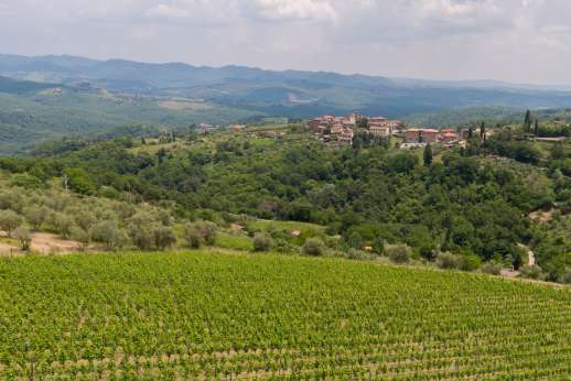 Villa Cignano - From it's hill top vantage point the Villa offers the most spectacular panoramic views of hilltop towns.