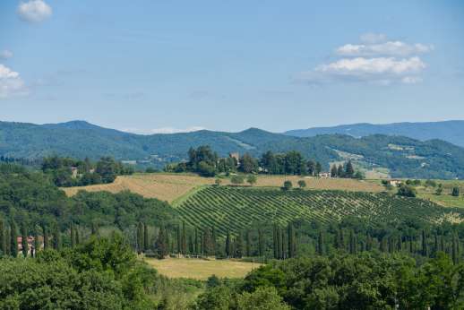 Villa Atena - Blissfully off the beaten tourist track, lovely landscapes and fine wines.