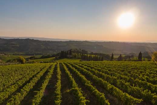 Tenuta Almabrada